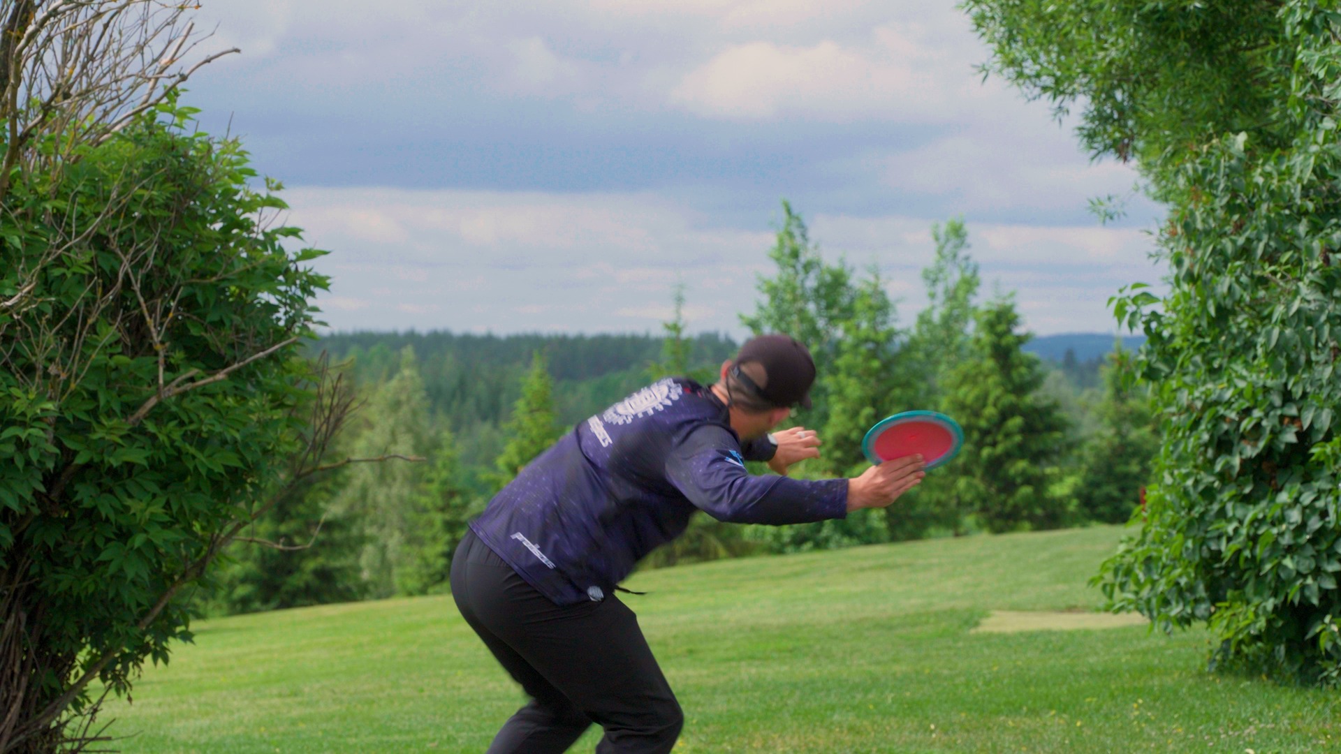 Pulsea Course background image