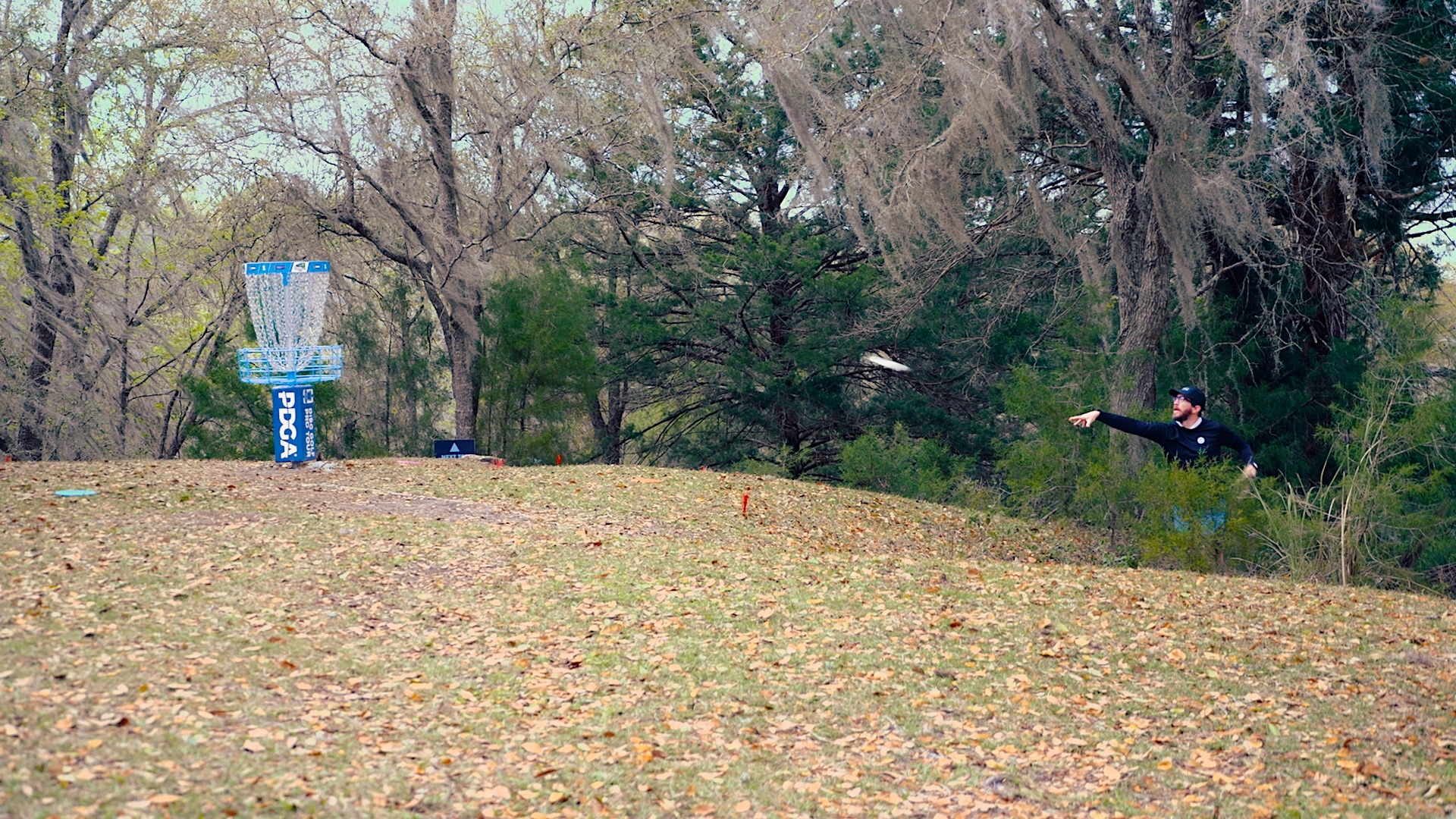 Pulsea Course background image